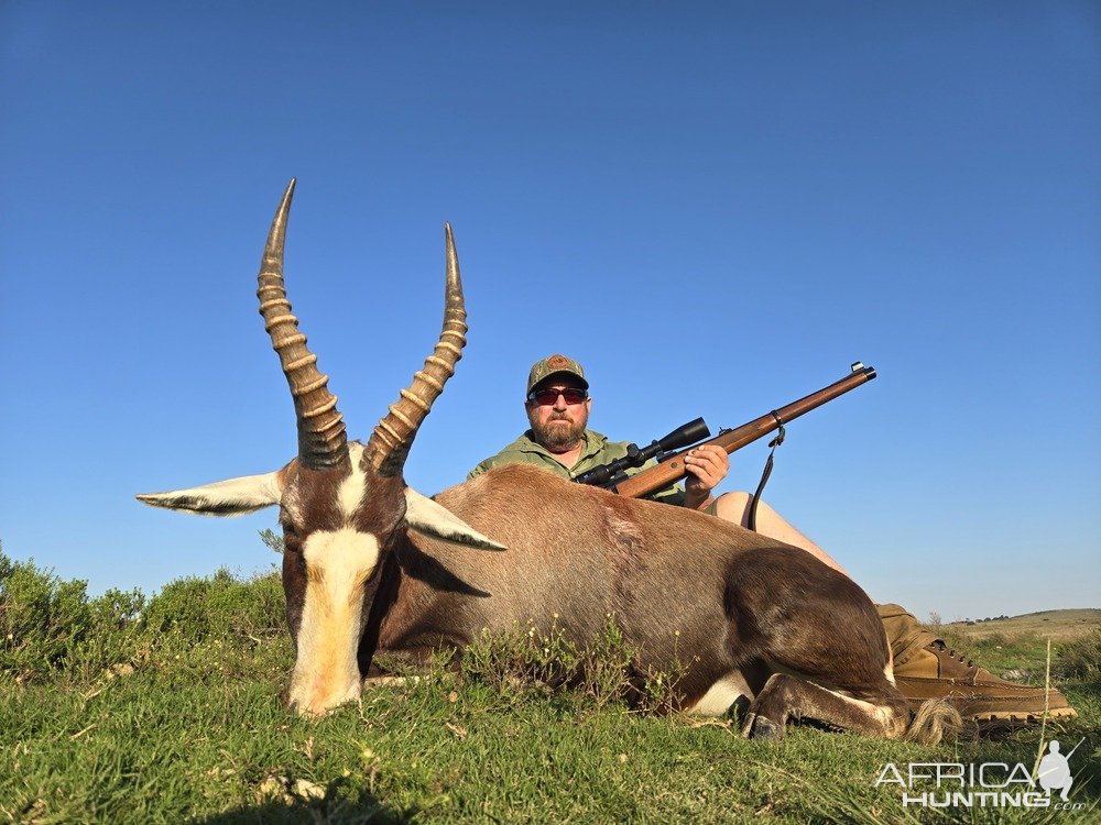 Blesbok Hunt Eastern Cape South Africa