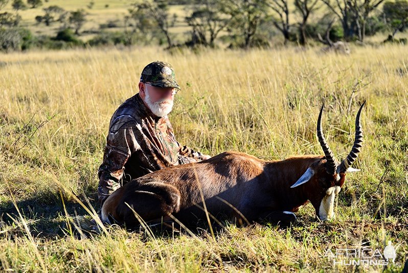 Blesbok Hunt Eastern Cape South Africa