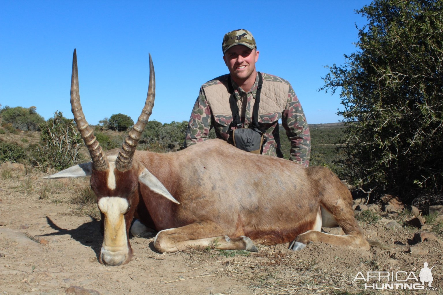 Blesbok Hunt Eastern Cape South Africa