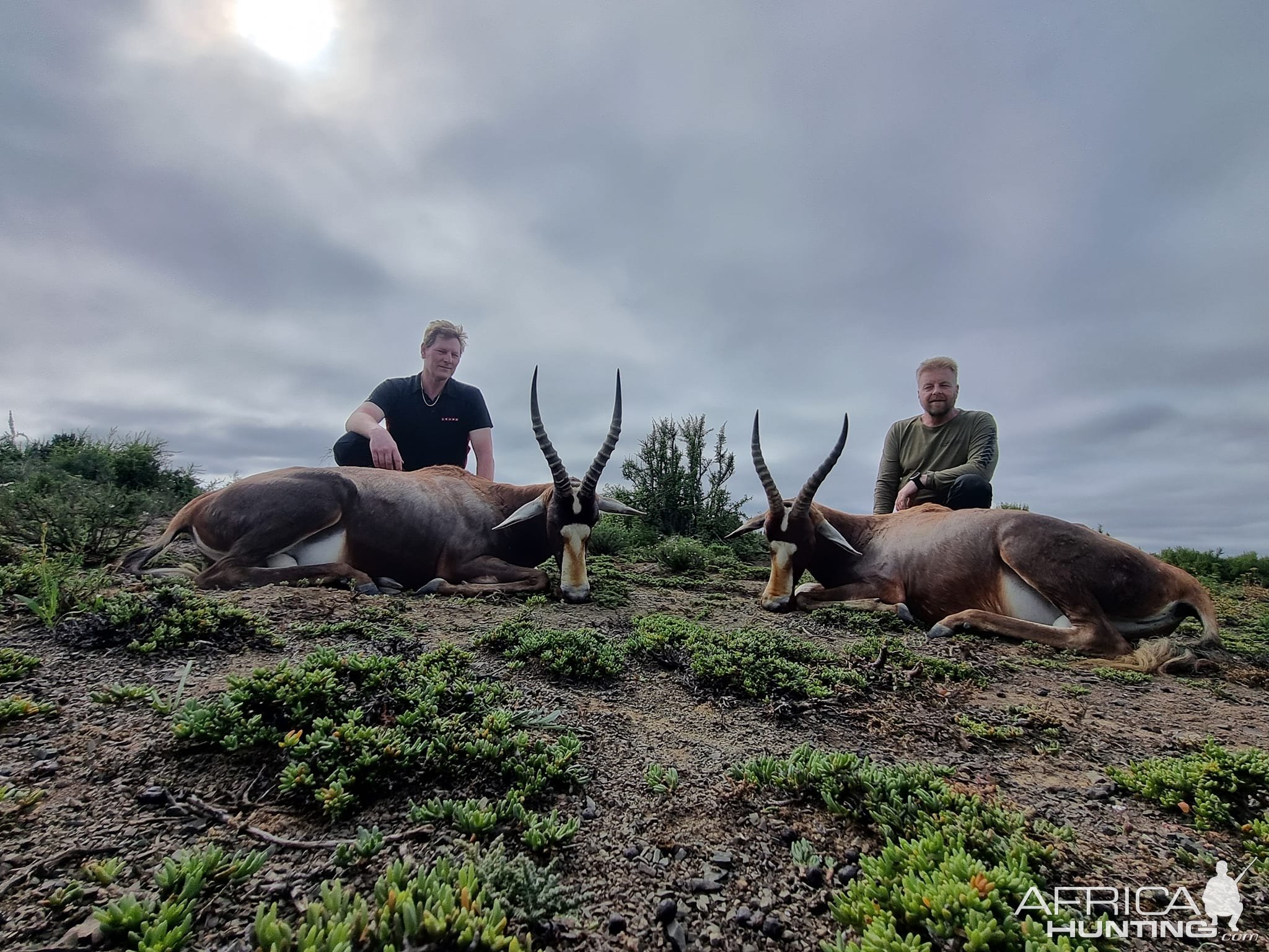 Blesbok Hunt Eastern Cape South Africa