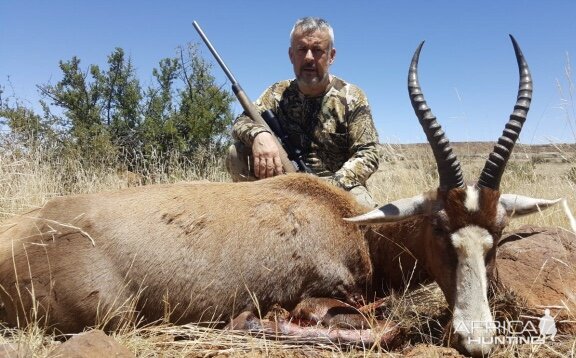 Blesbok Hunt in South Africa