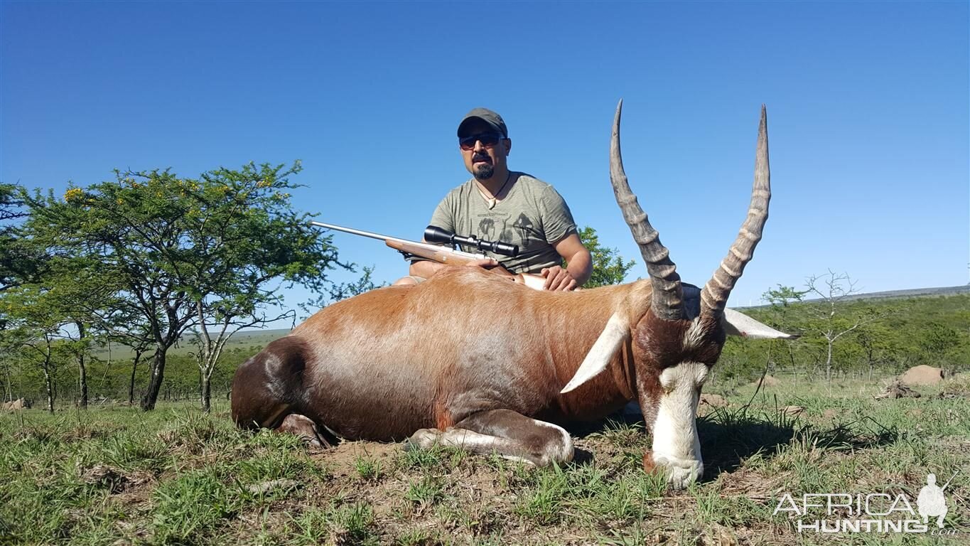 Blesbok Hunt in  South Africa