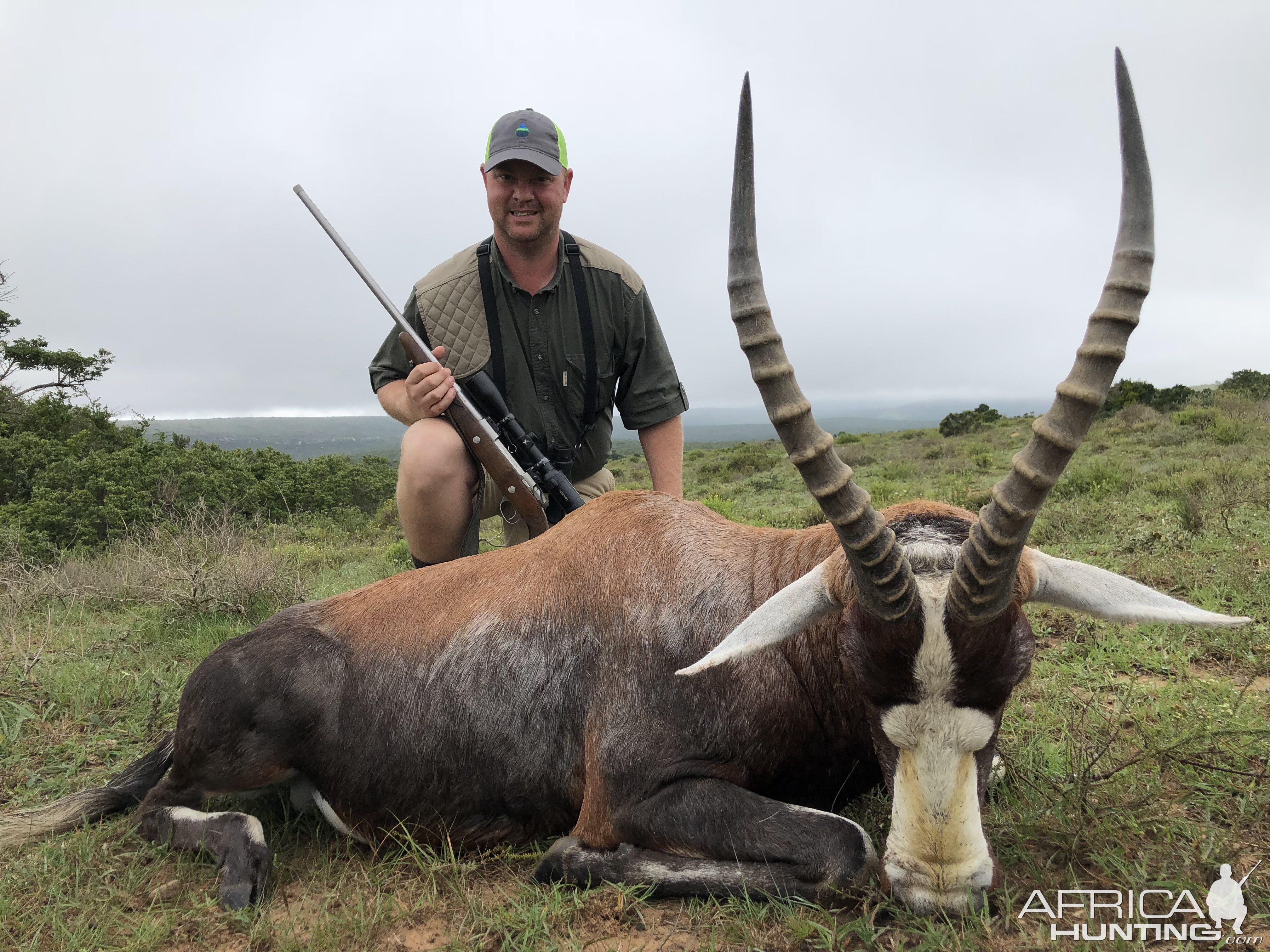 Blesbok Hunt in South Africa