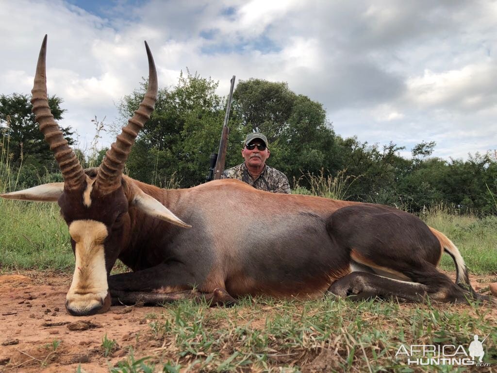 Blesbok Hunt in South Africa