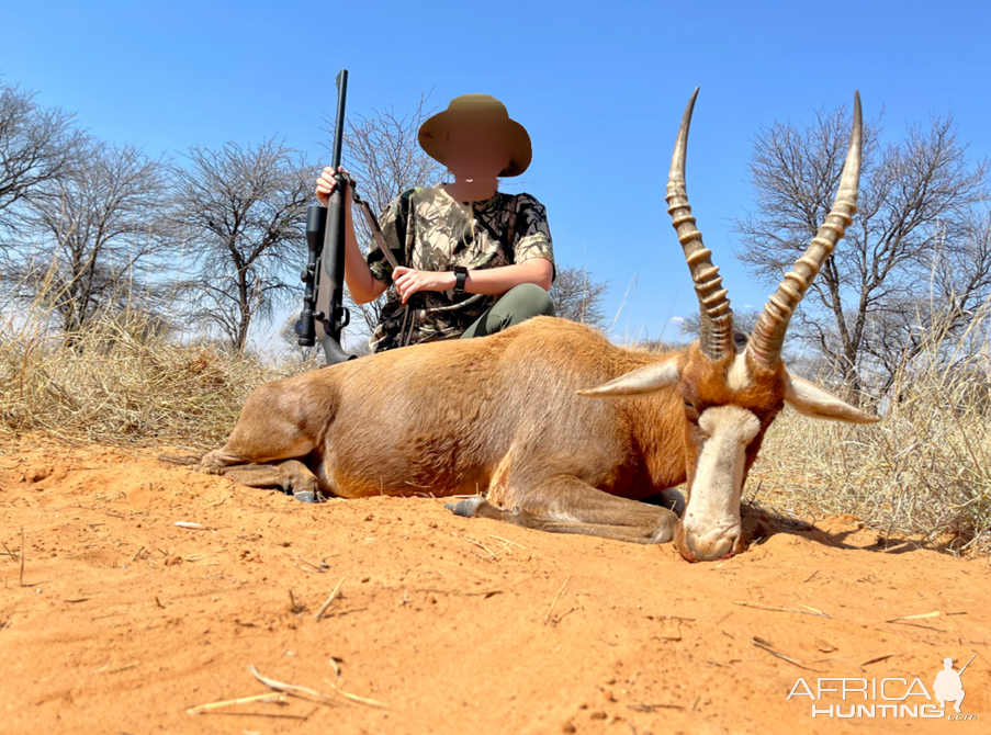 Blesbok Hunt Kalahari South Africa