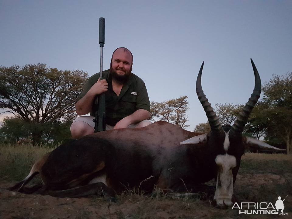 Blesbok Hunt Kalahari South Africa