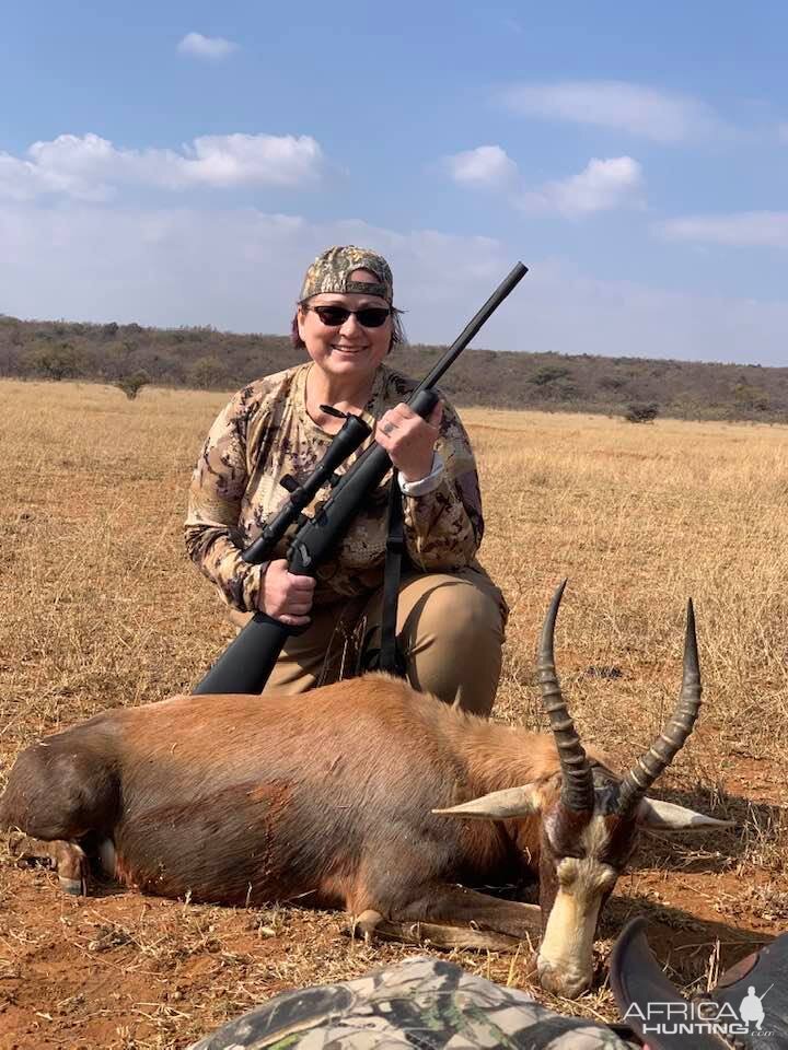 Blesbok Hunt Limpopo South Africa