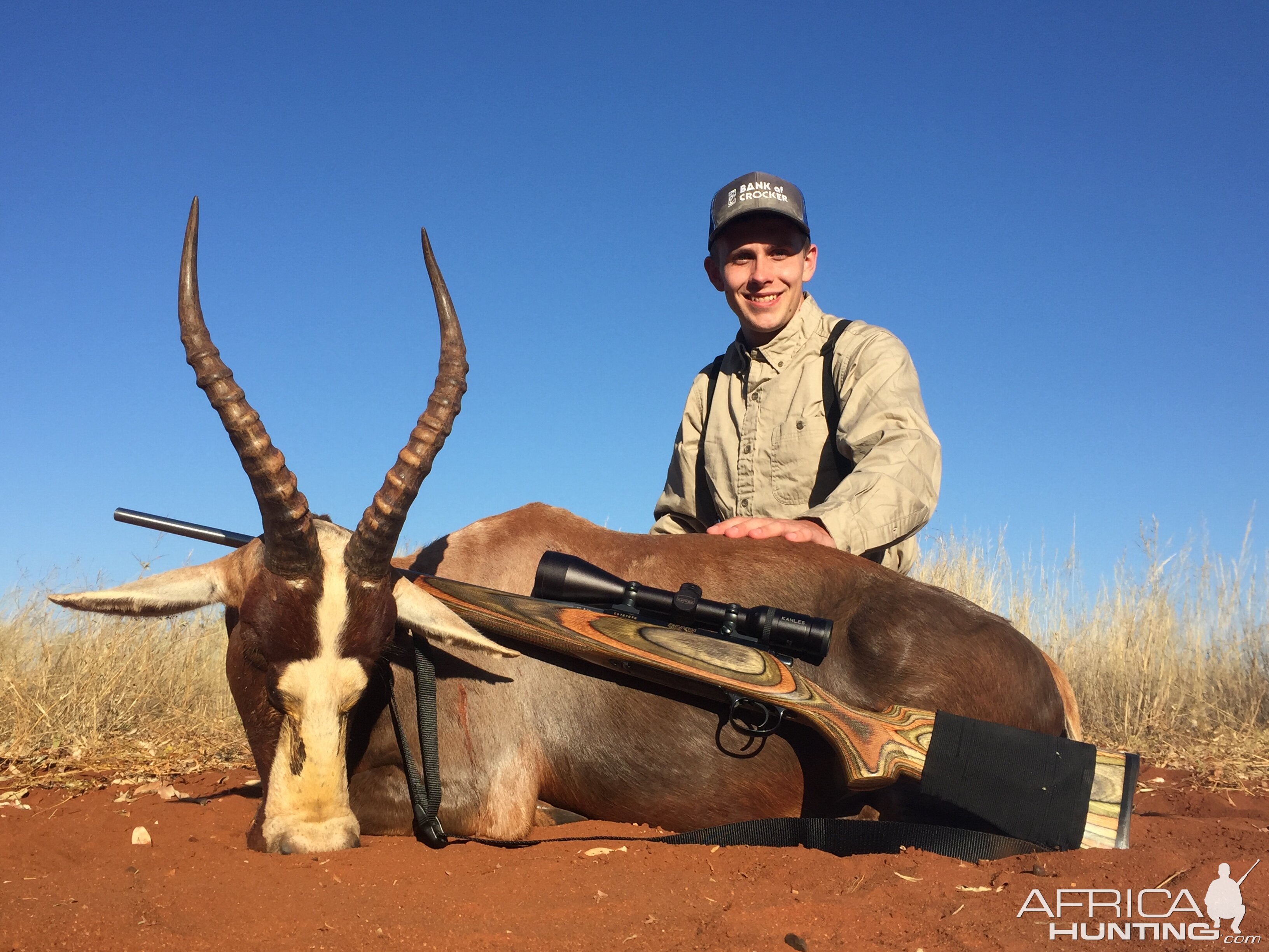 Blesbok Hunt Limpopo South Africa