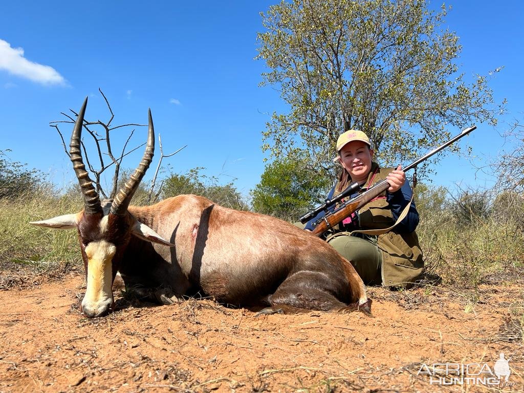 Blesbok Hunt Limpopo South Africa