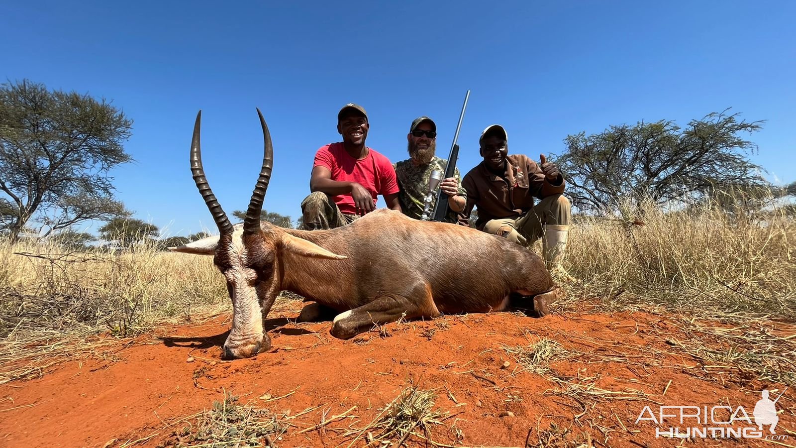 Blesbok Hunt Limpopo South Africa