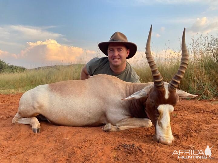 Blesbok Hunt Northen Cape South Africa