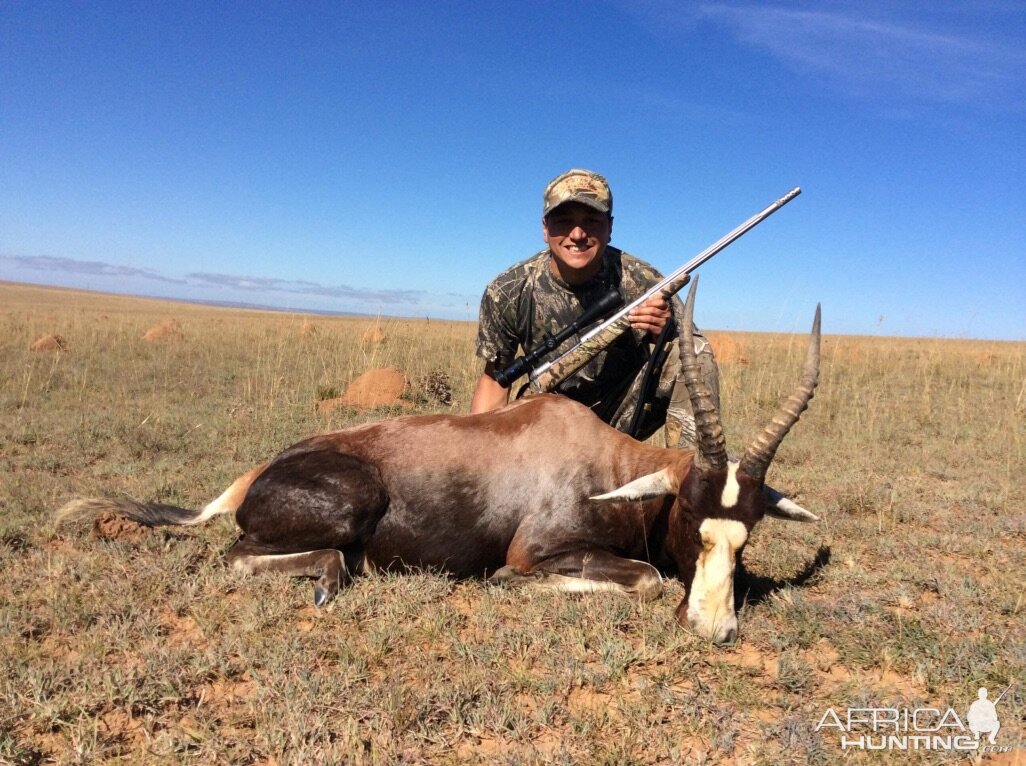 Blesbok Hunt South Africa