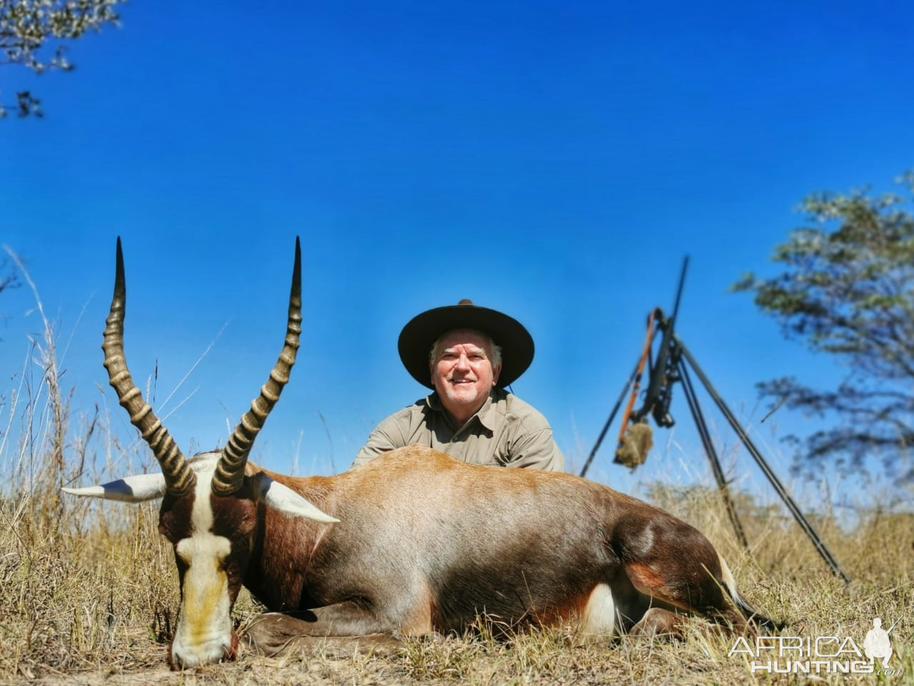 Blesbok Hunt South Africa