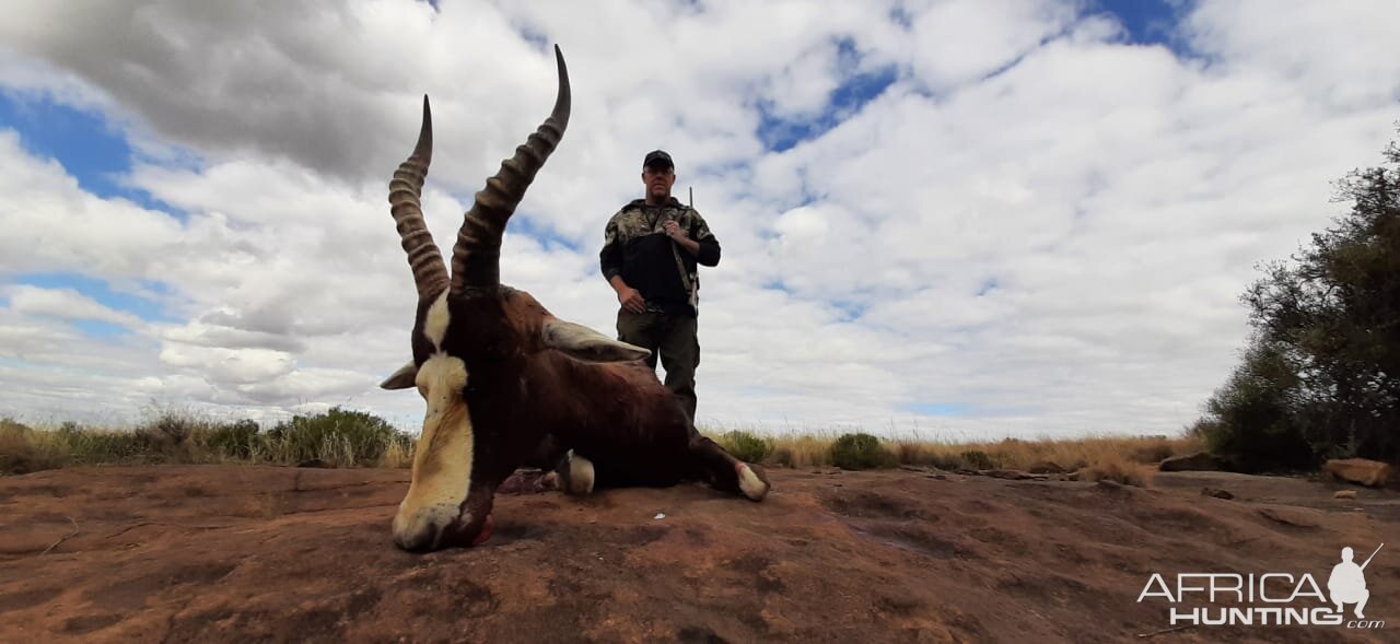 Blesbok Hunt South Africa