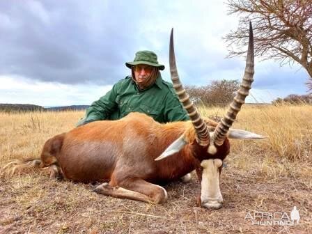 Blesbok Hunt South Africa