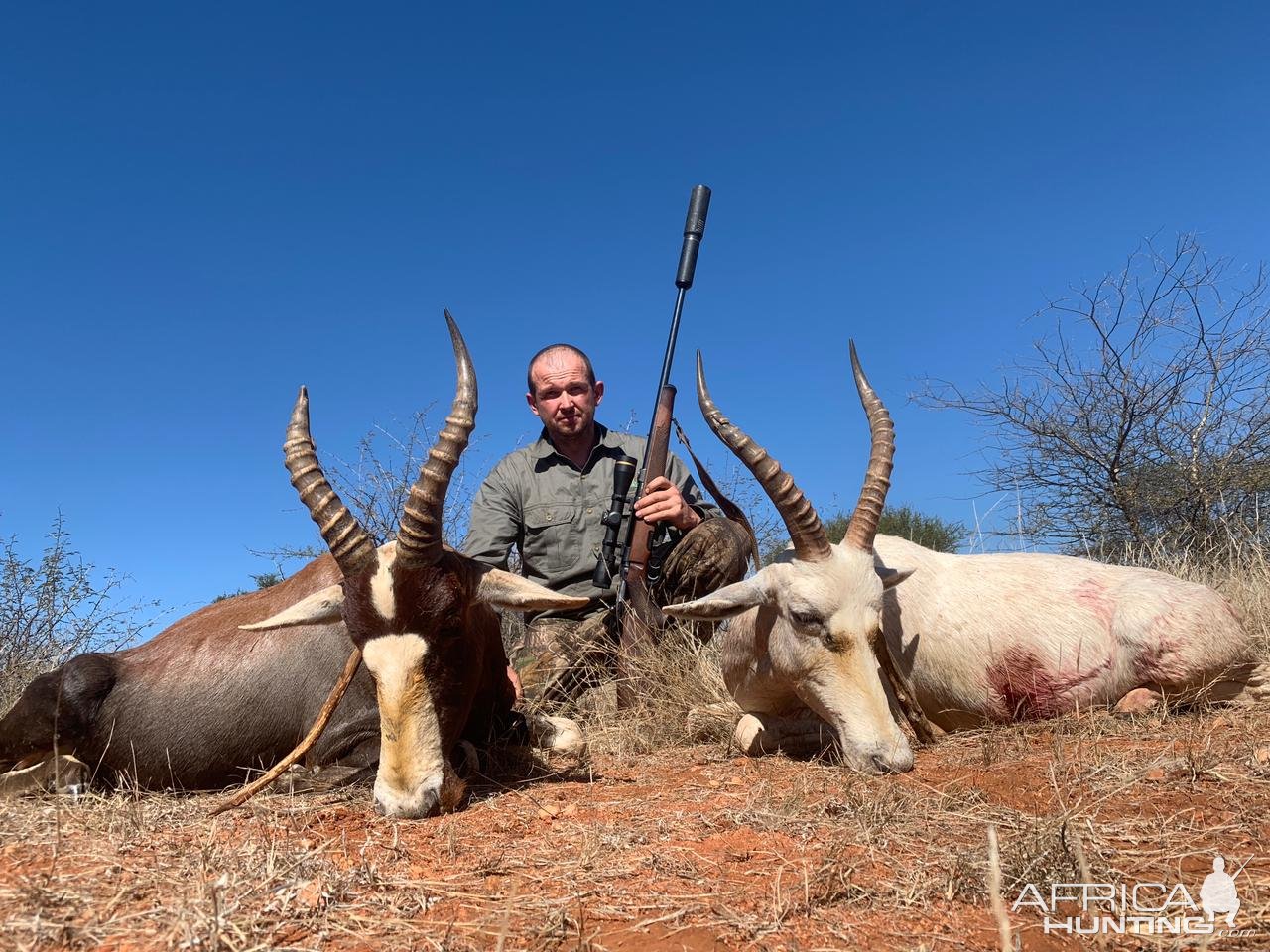 Blesbok Hunt South Africa