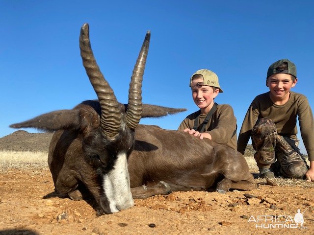 Blesbok Hunt South Africa