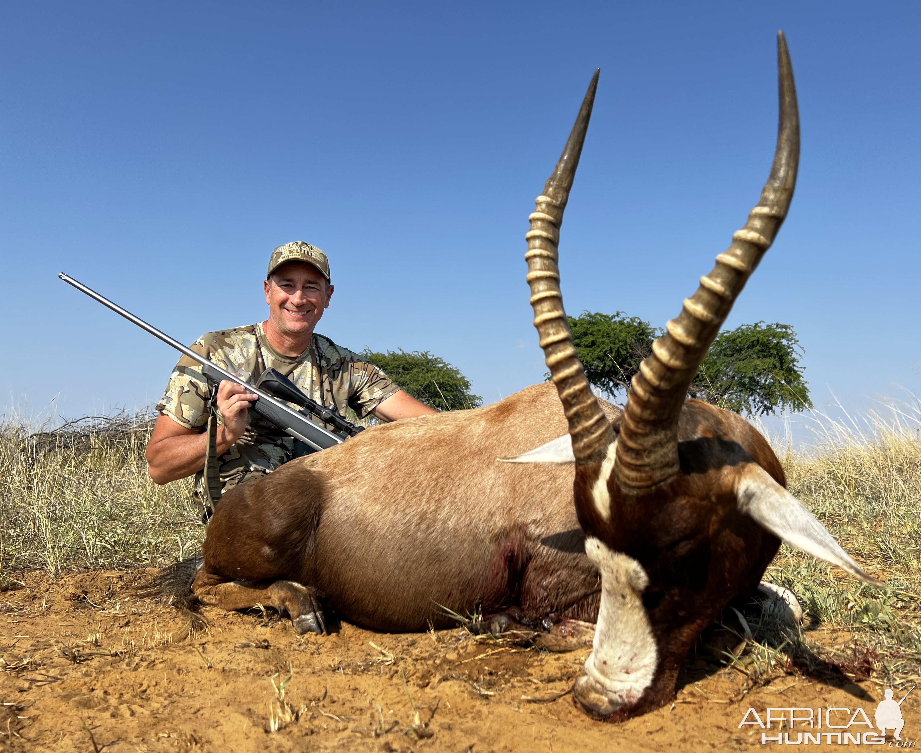 Blesbok Hunt South Africa