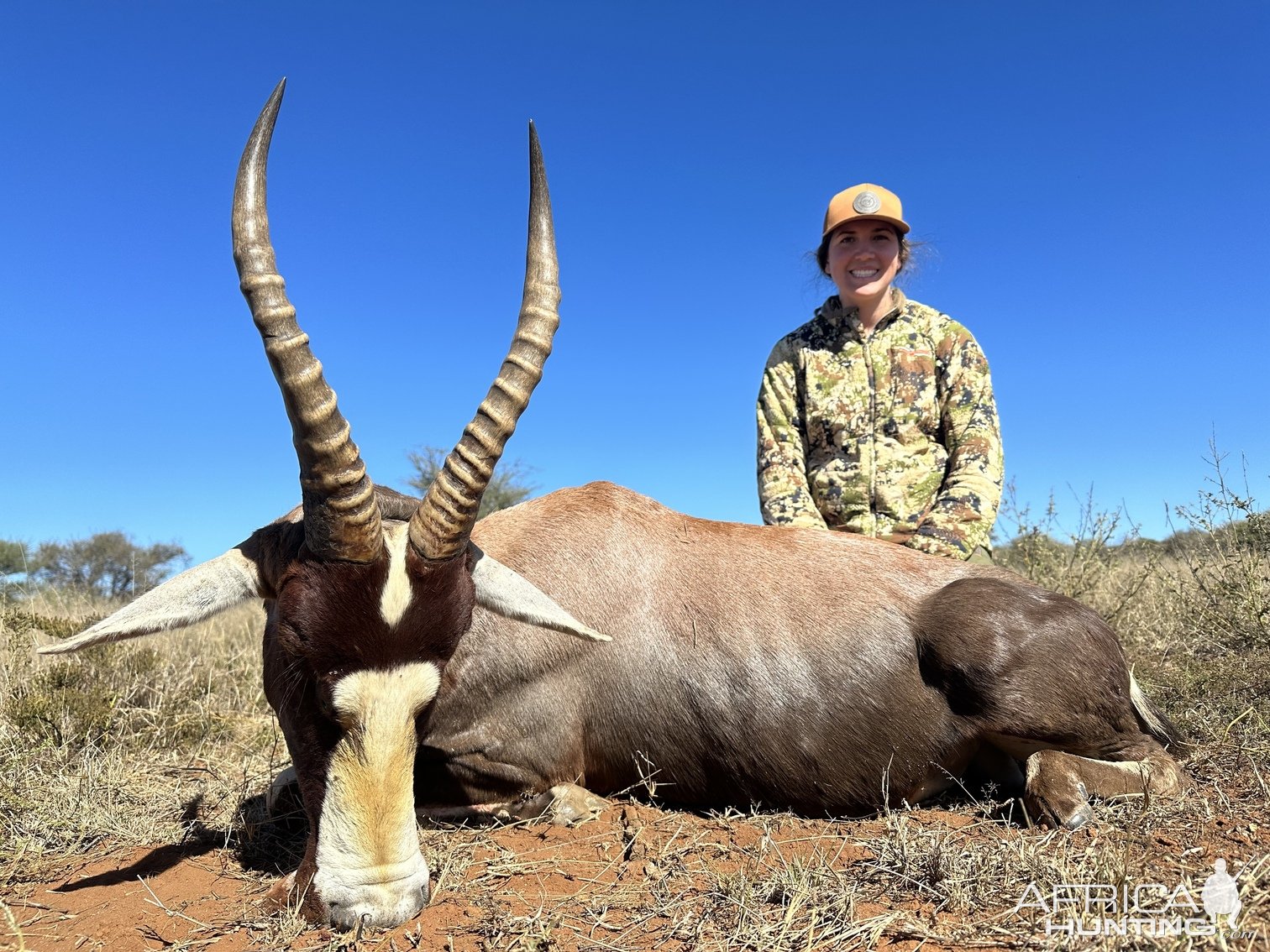 Blesbok Hunt South Africa