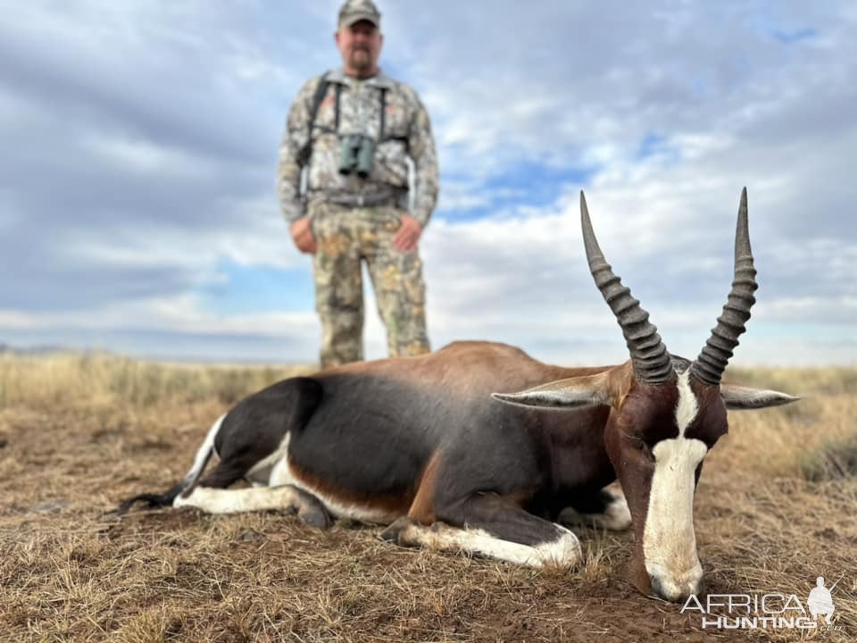 Blesbok Hunt South Africa