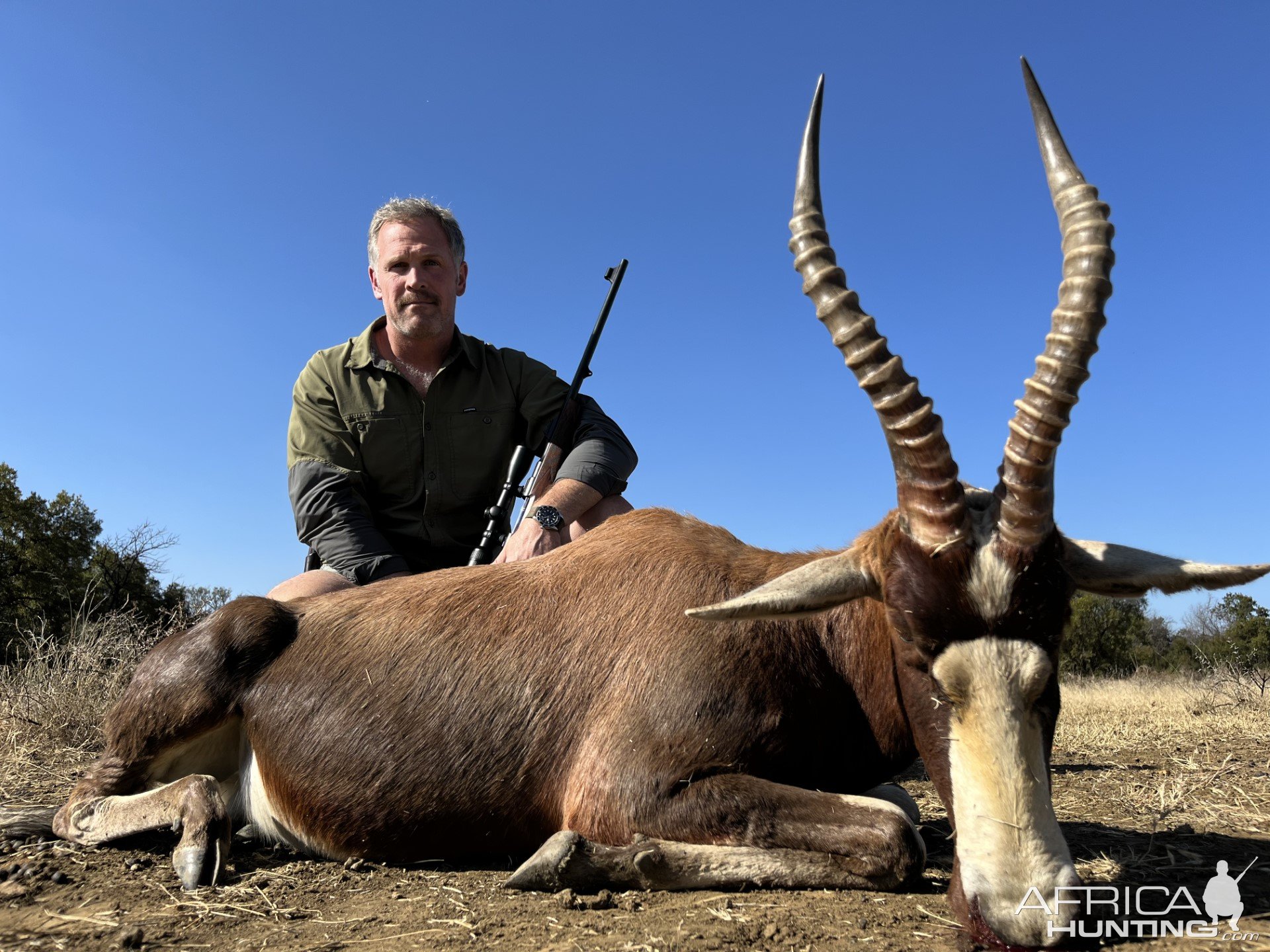 Blesbok Hunt South Africa