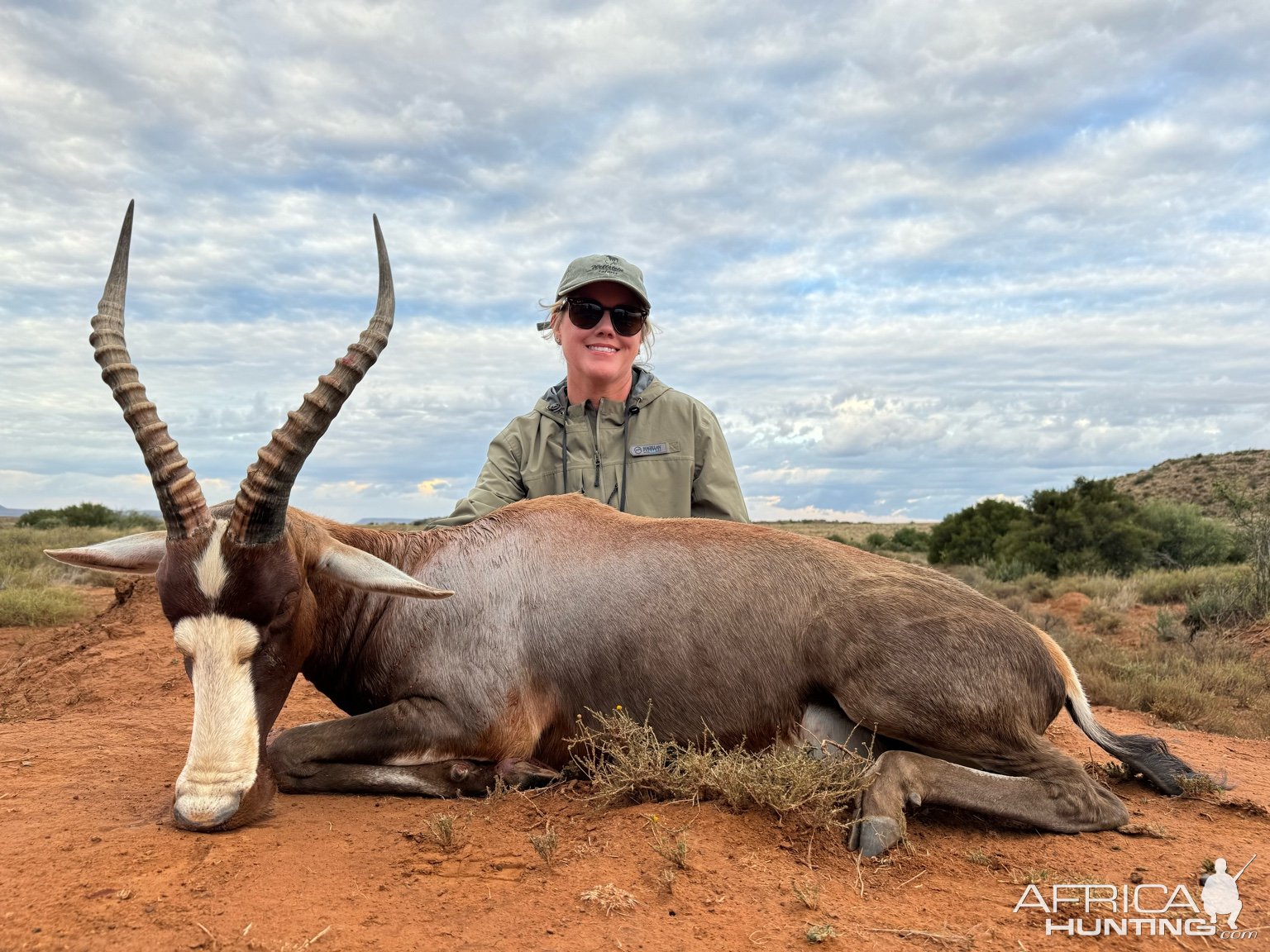 Blesbok Hunt South Africa