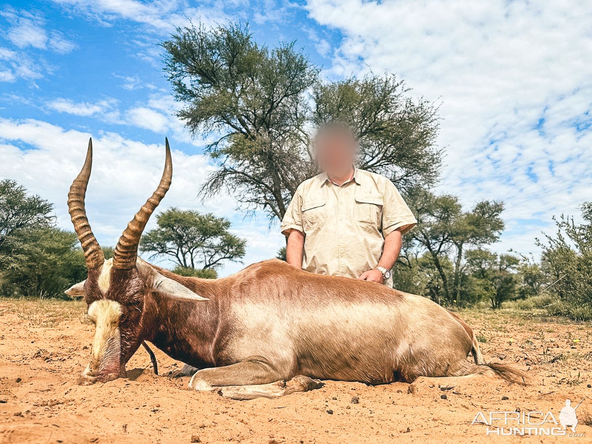 Blesbok Hunt South Africa