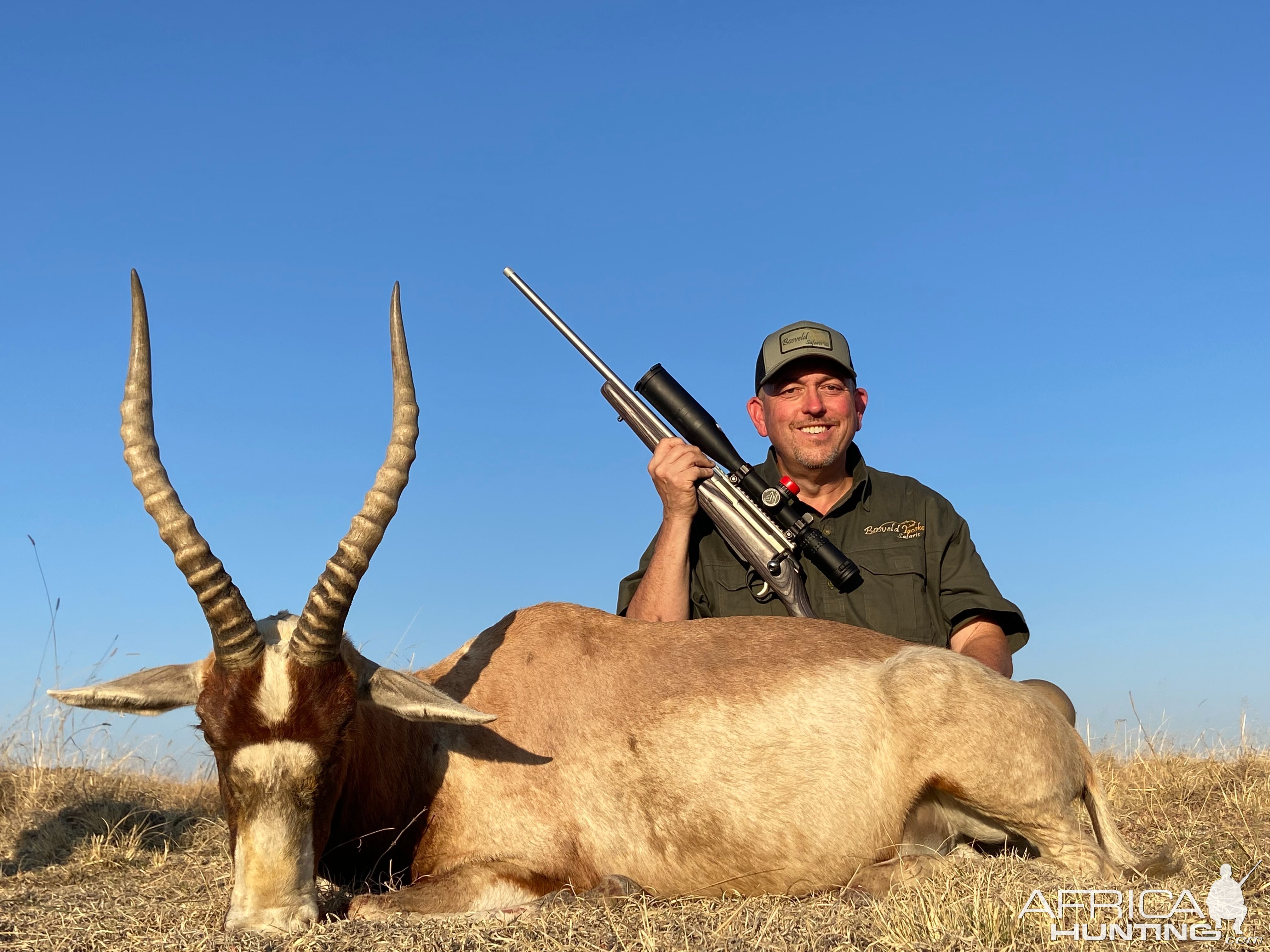 Blesbok Hunt South Africa