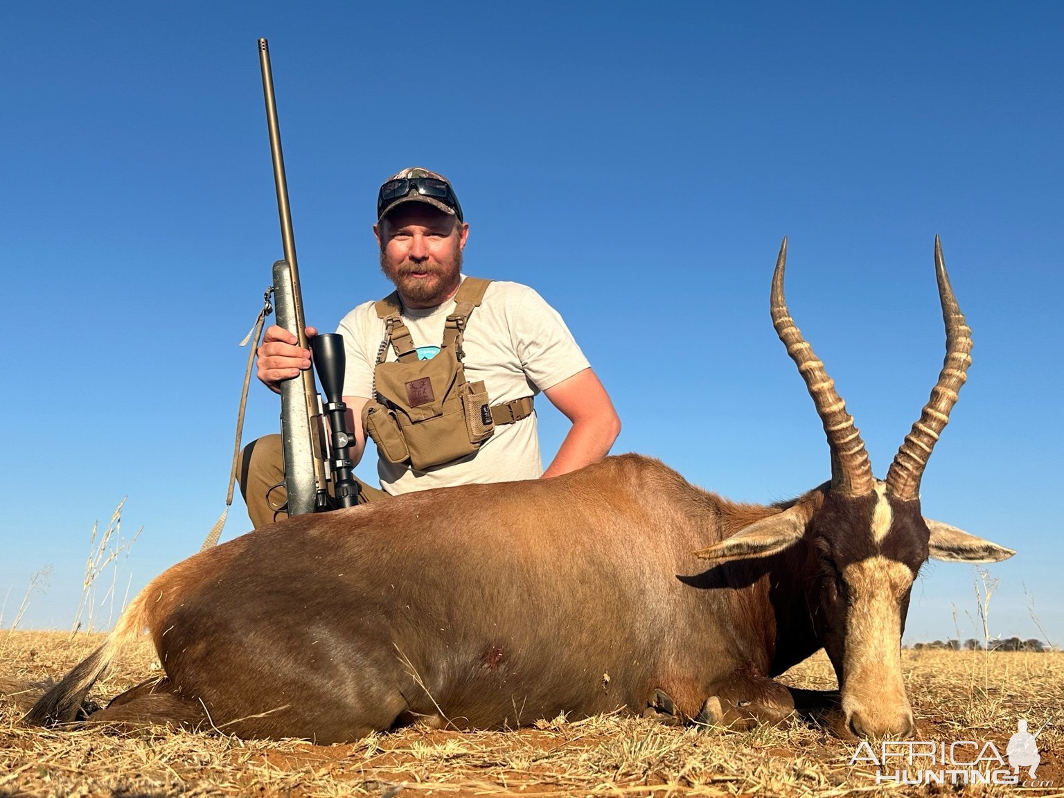 Blesbok Hunt South Africa