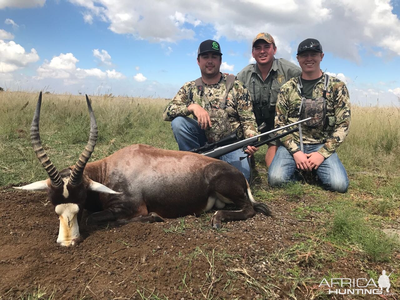 Blesbok Hunt South Africa