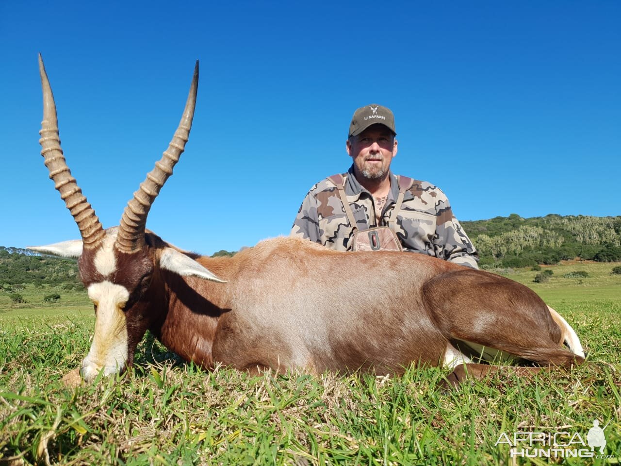 Blesbok Hunt South Africa