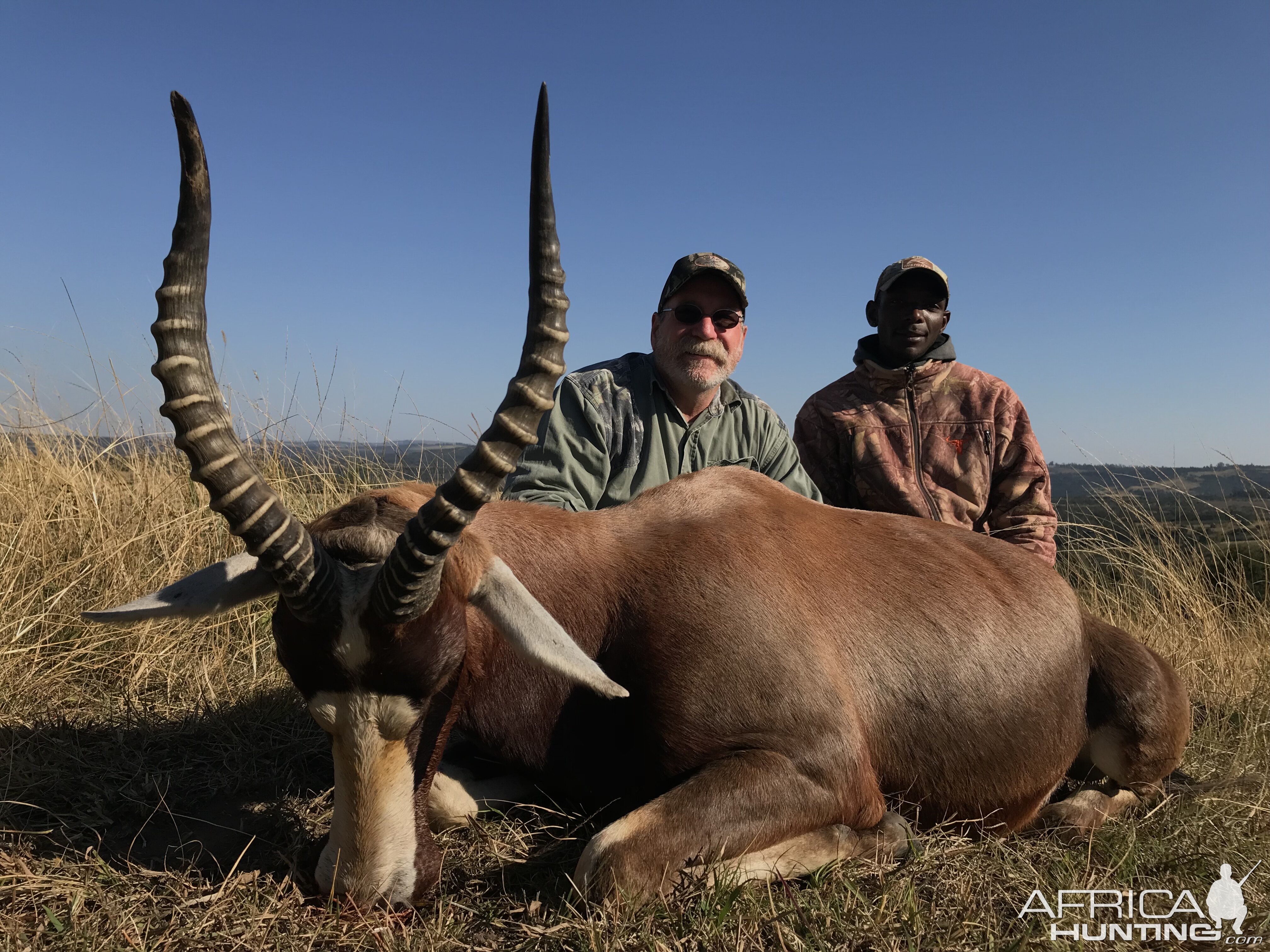 Blesbok Hunt South Africa