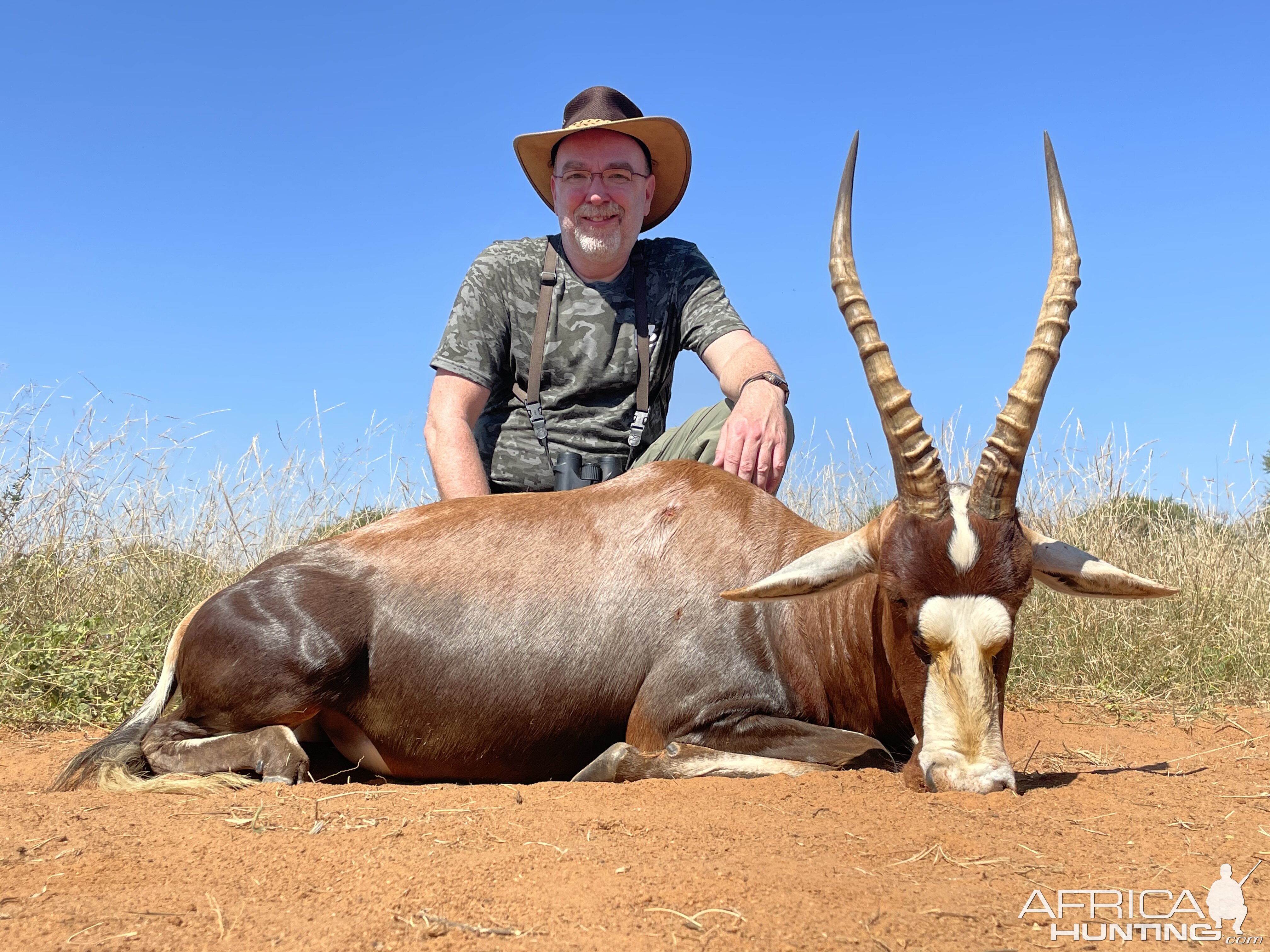 Blesbok Hunt