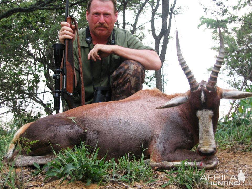 Blesbok Hunt