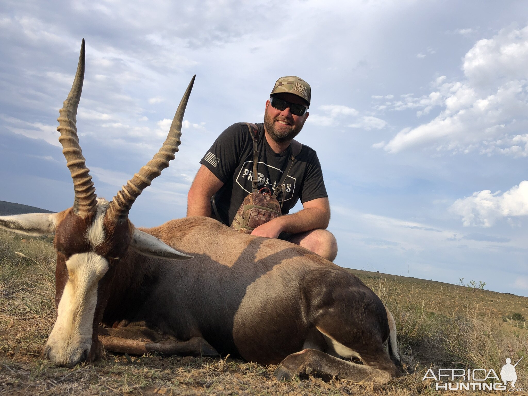 Blesbok Hunting Eastern Cape South Africa