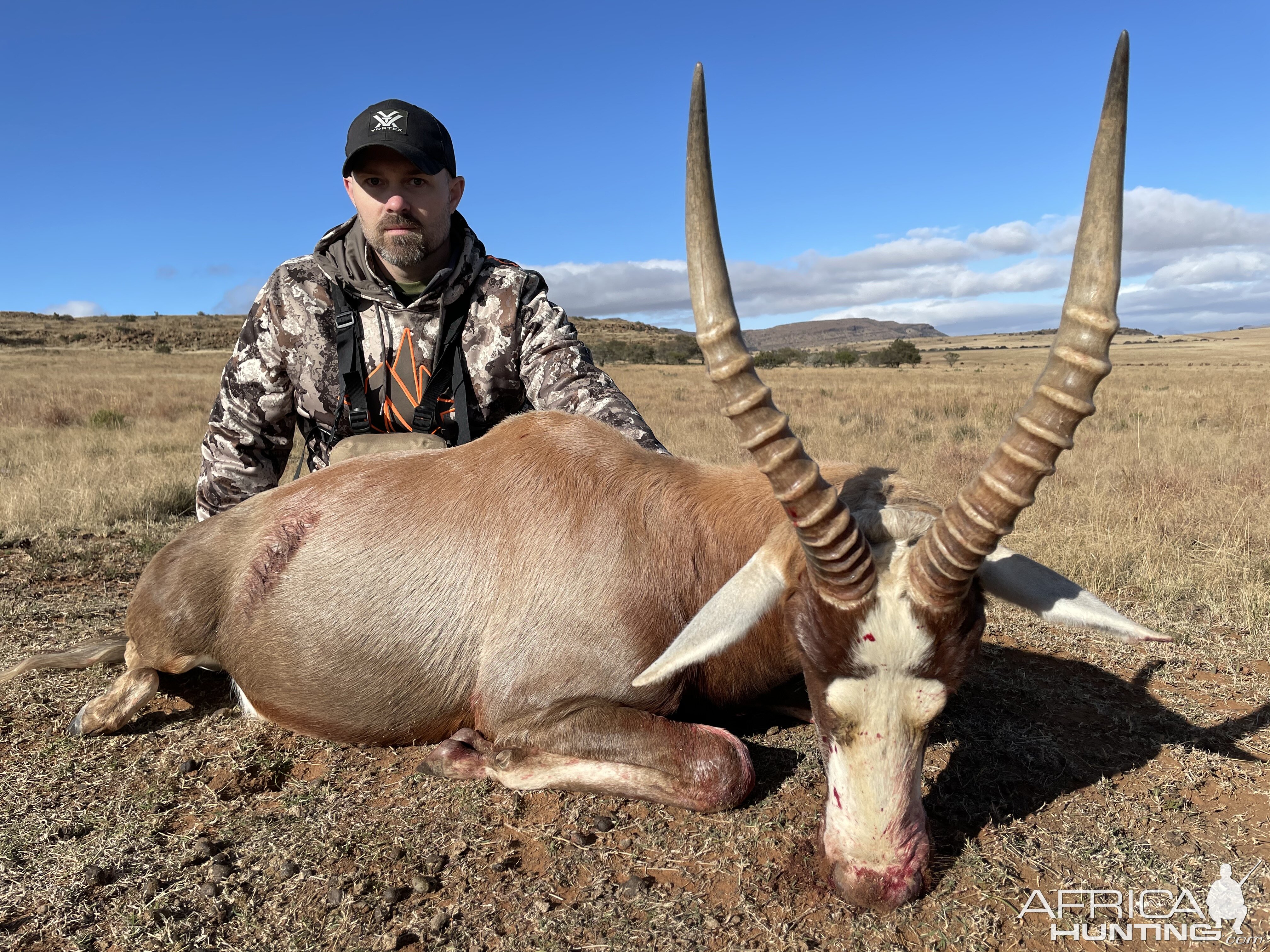 Blesbok Hunting Eastern Cape South Africa