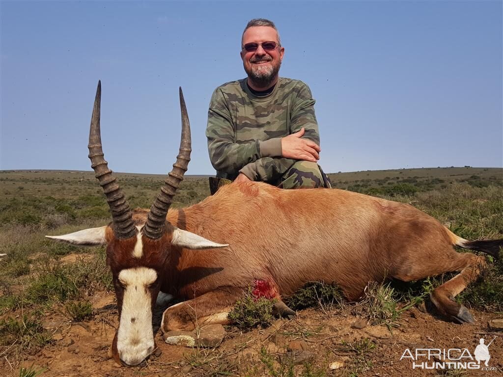 Blesbok Hunting in South Africa