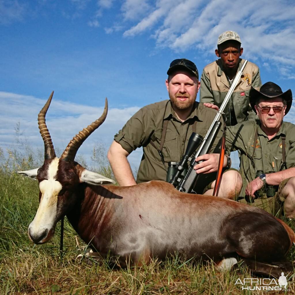 Blesbok Hunting in South Africa