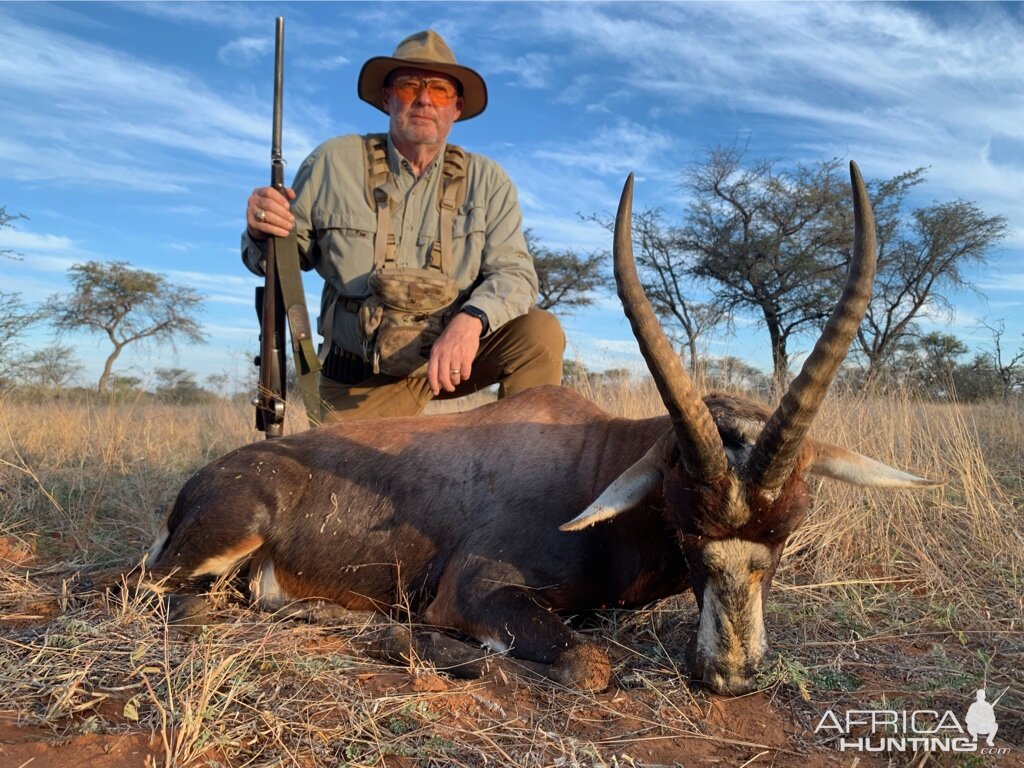 Blesbok Hunting Namibia