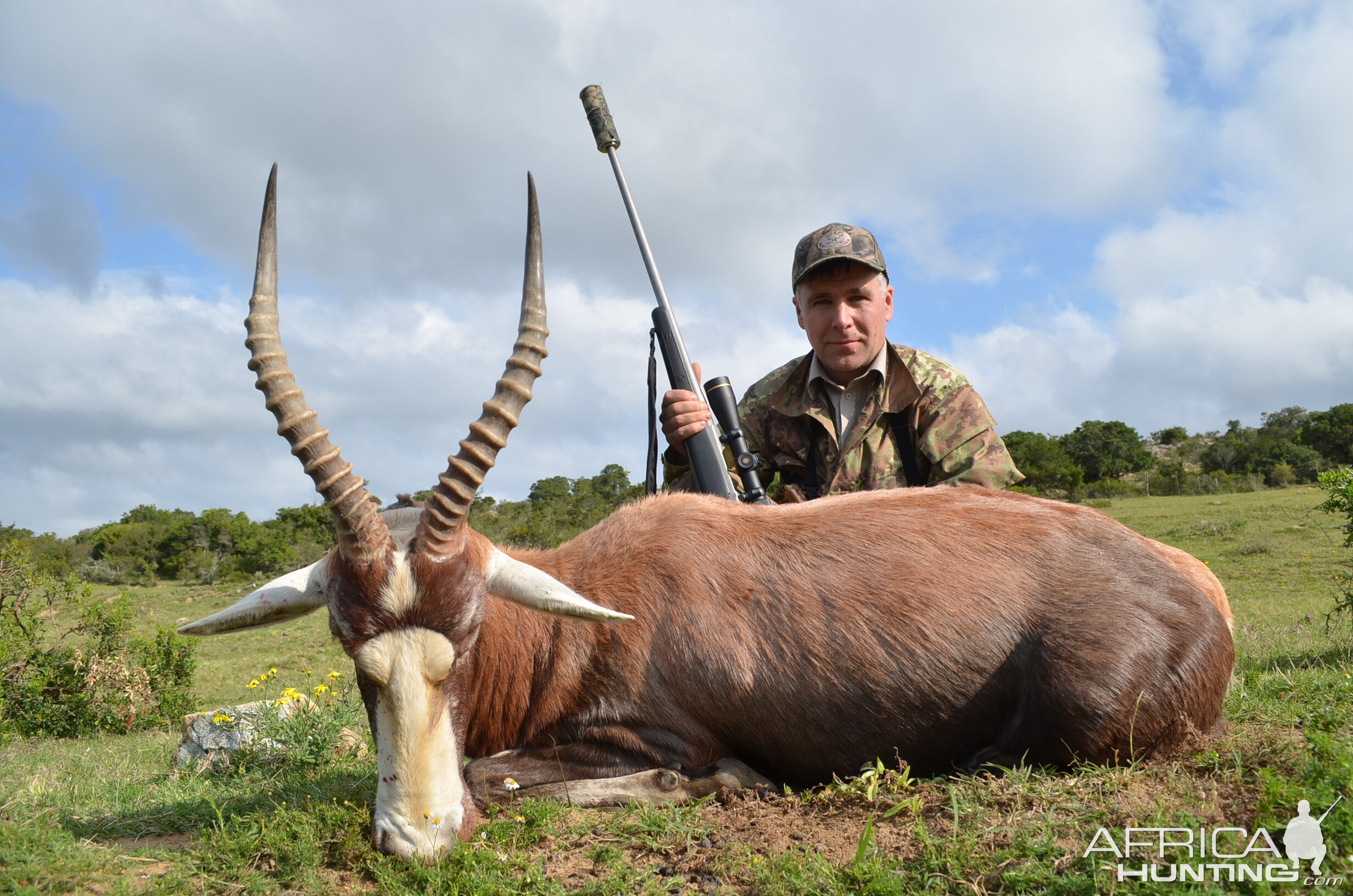 Blesbok Hunting South Africa