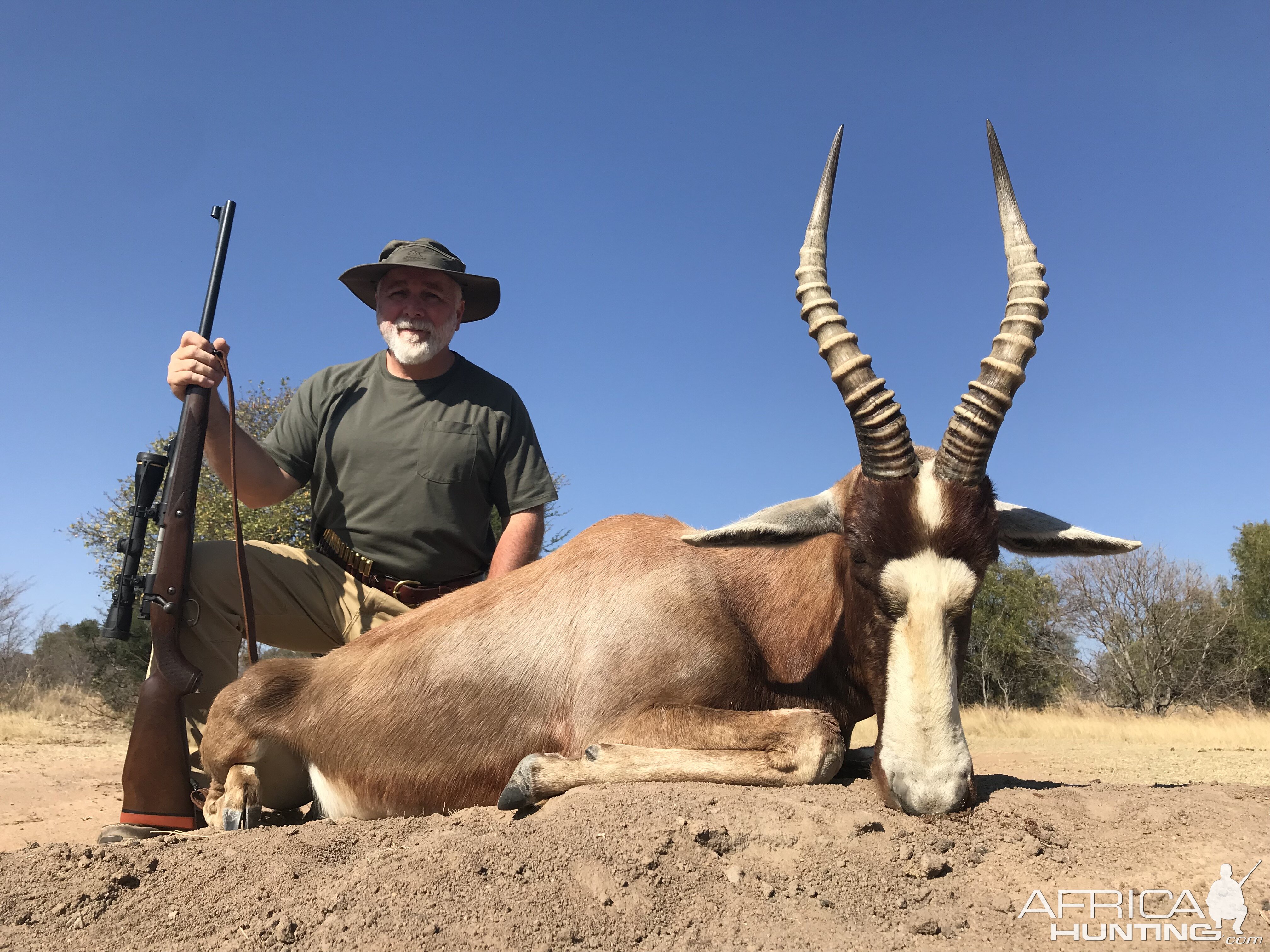 Blesbok Hunting South Africa