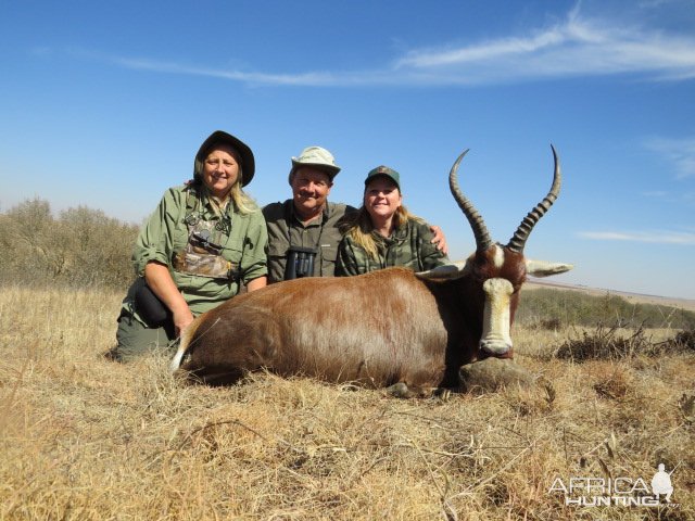 Blesbok Hunting South Africa