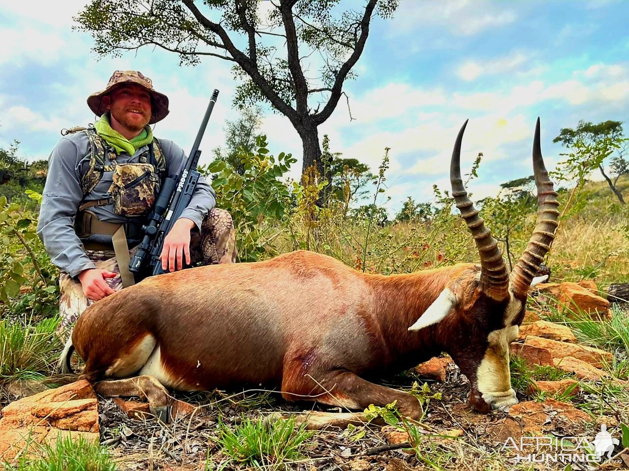 Blesbok Hunting South Africa