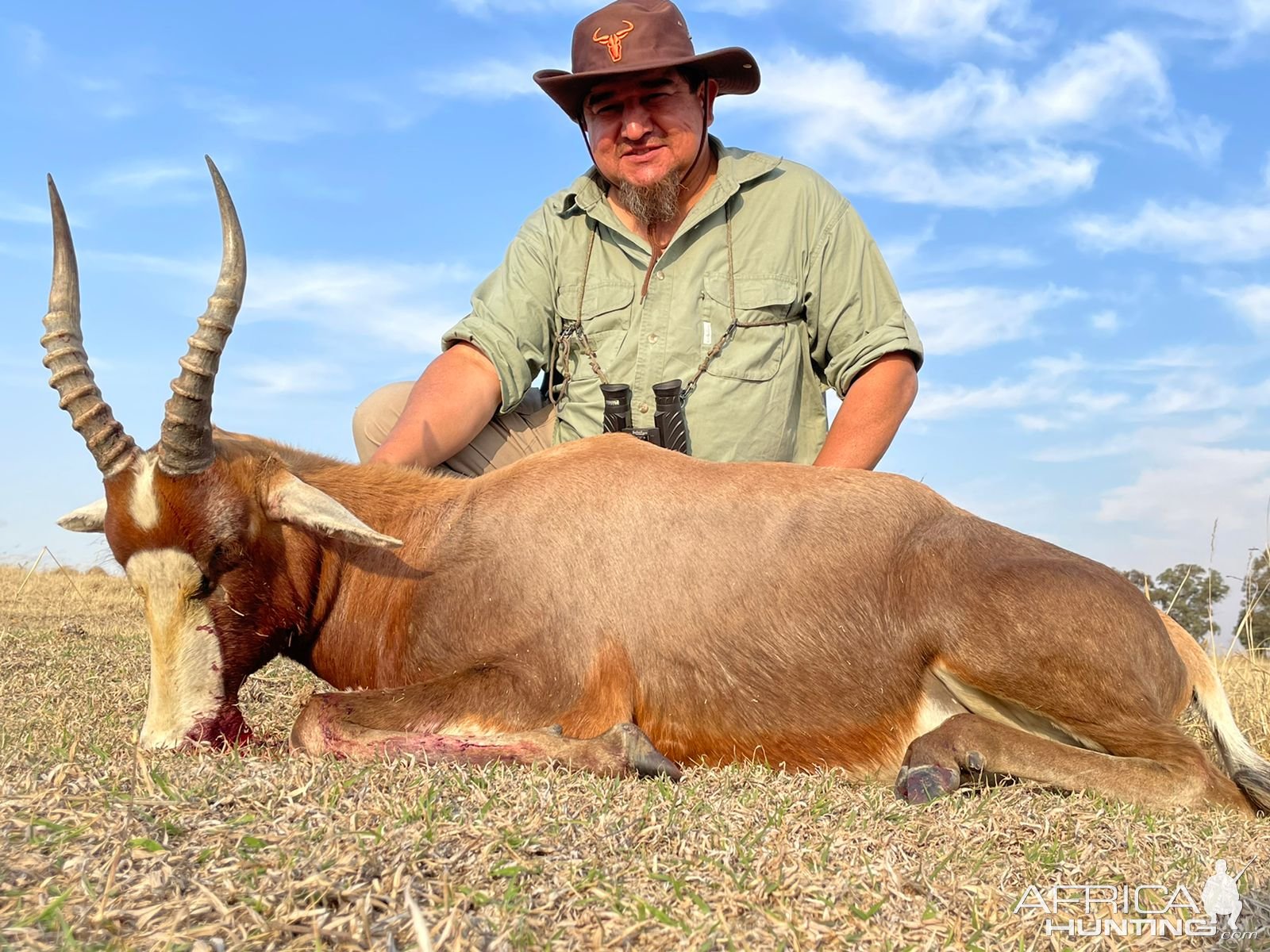 Blesbok Hunting South Africa