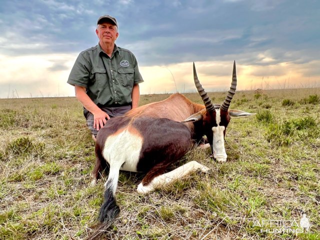 Blesbok Hunting South Africa