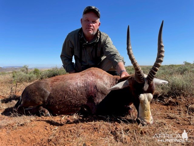 Blesbok Hunting South Africa