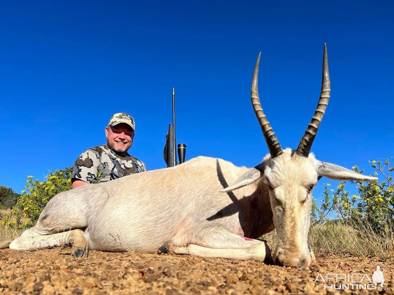 Blesbok Hunting South Africa