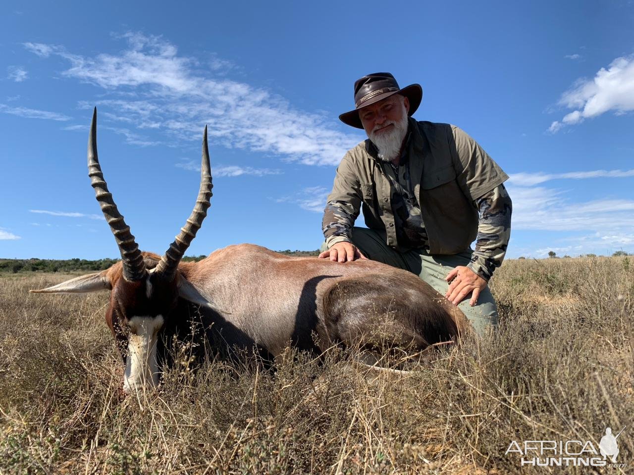 Blesbok Hunting South Africa