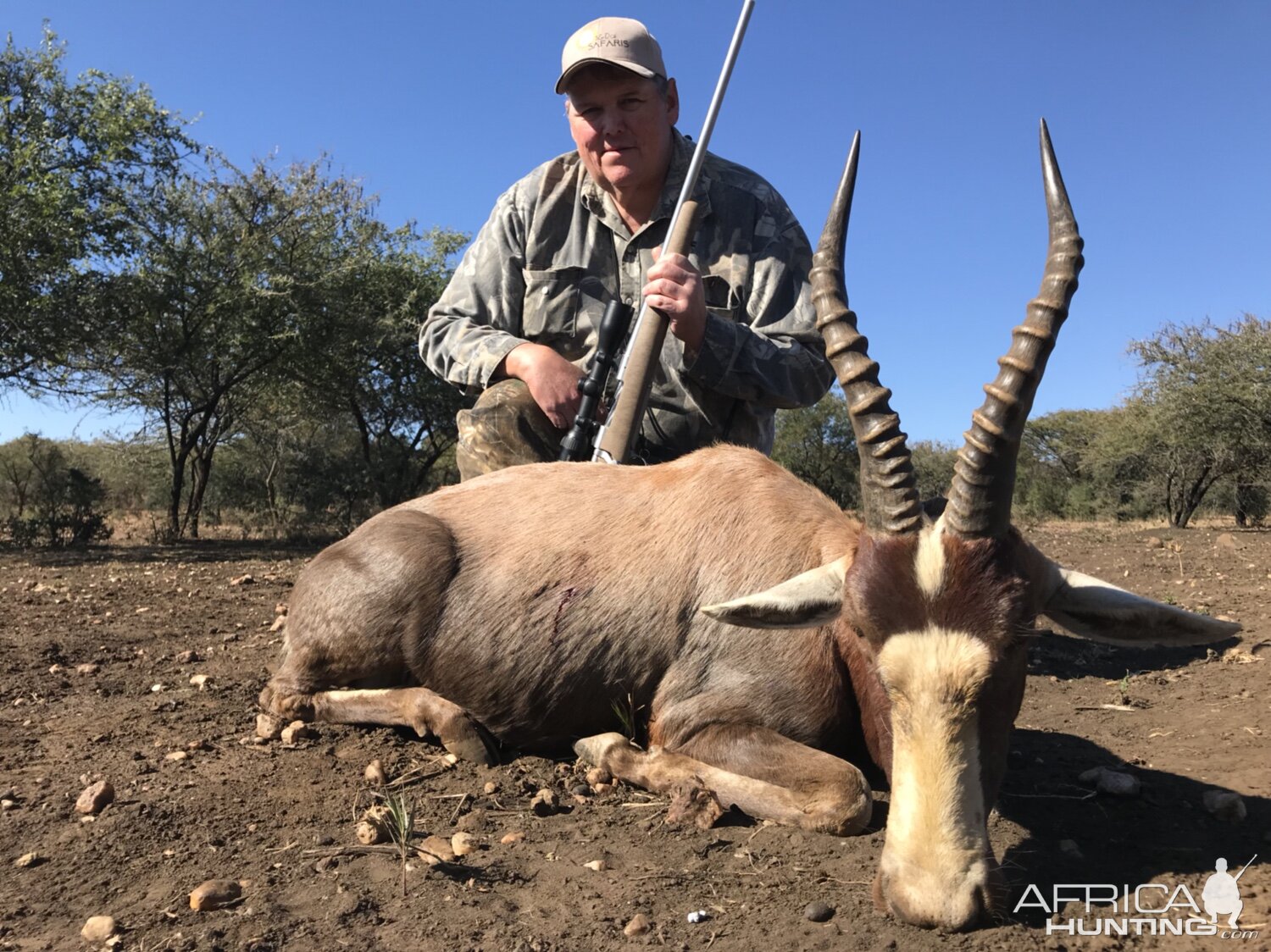 Blesbok Hunting South Africa