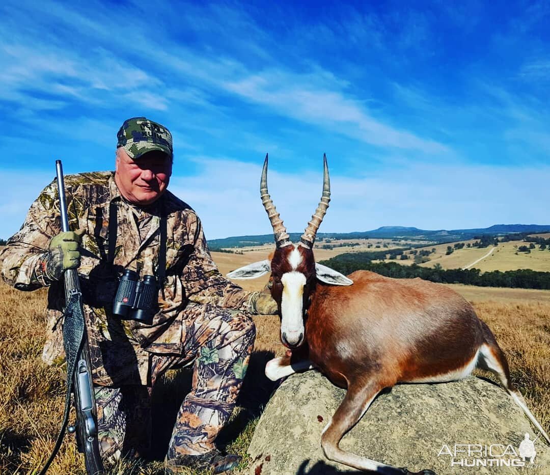 Blesbok Hunting South Africa